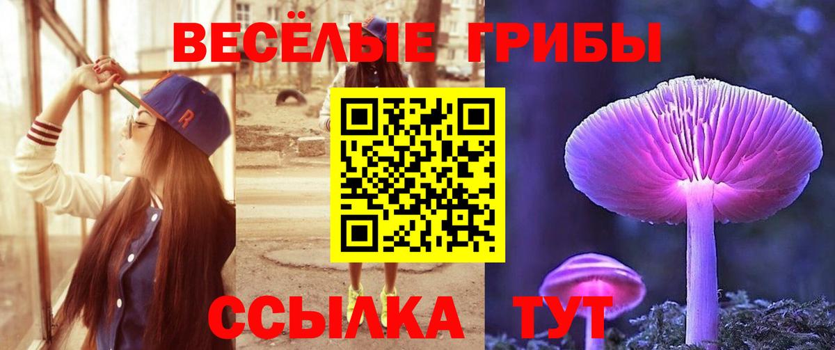 Псилоцибиновые грибы MAGIC MUSHROOMS Солнечногорск