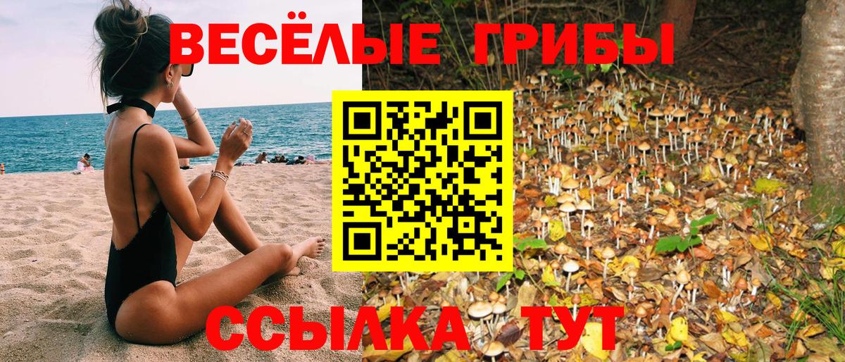 Солнечногорск  Псилоцибиновые грибы мицелий  Вход с VPN 